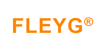 Logo FLEYG AG